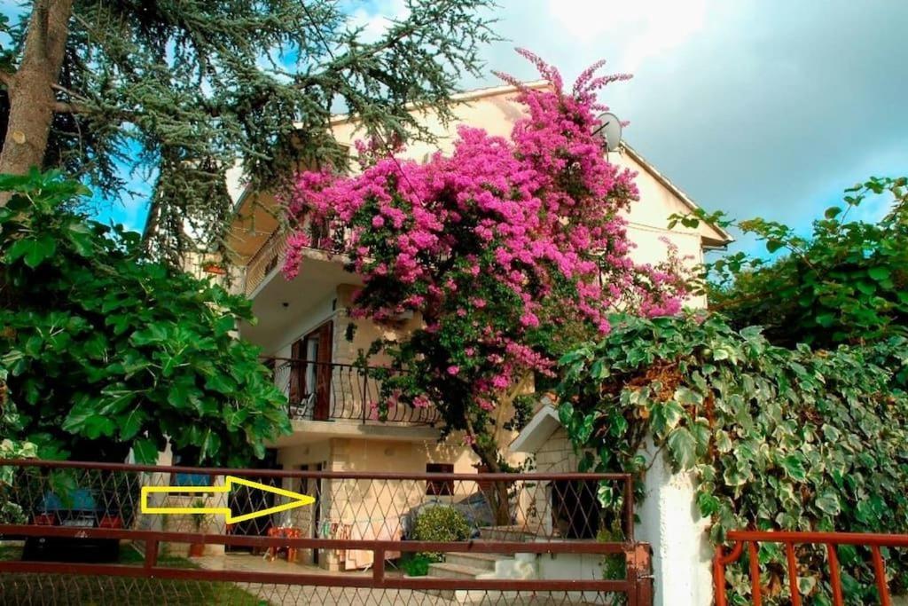 Apartment Ribica Слатине Экстерьер фото